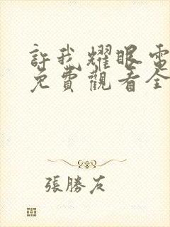 许我耀眼电视剧免费观看全部15集