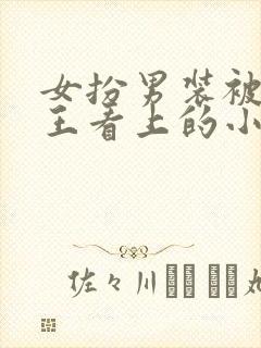 女扮男装被摄政王看上的小说