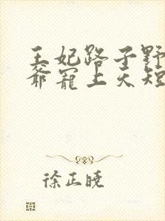 王妃路子野,王爷宠上天短剧封面