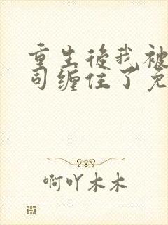重生后我被前上司缠住了免费阅读
