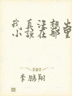 我真没想出名啊小说在那里更新