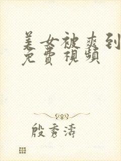 美女被爽到呻吟免费视频