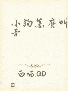 小狗怎么叫 声音