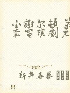 小谢尔顿 第一季电视剧免费看