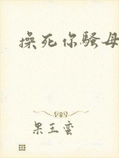 操死你骚母狗