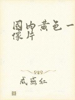国内黄色一级录像片
