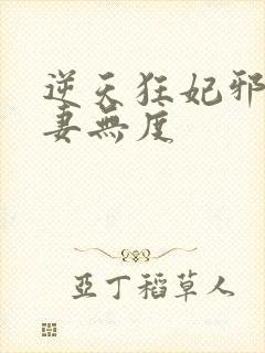 逆天狂妃邪王宠妻无度