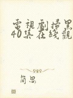 电视剧扫黑风暴40集在线观看免费封面