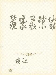 楚晚宁踏仙君初次承欢小说封面