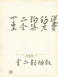 丁二狗的逆袭人生全集免费播放