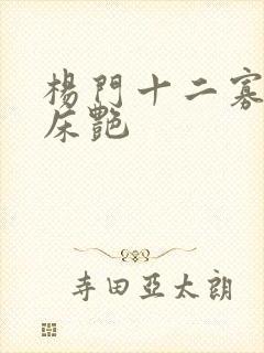 杨门十二寡妇肉床艳