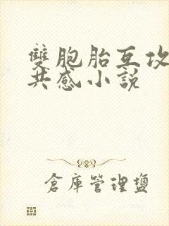 双胞胎互攻神秘共感小说