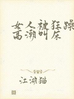 女人被狂躁c到高潮叫床