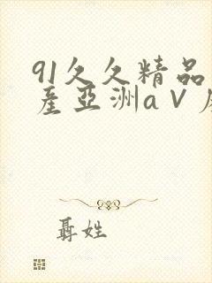 91久久精品国产亚洲a∨麻豆封面