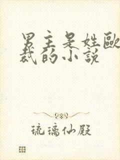 男主是姓欧的总裁的小说