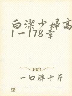 白洁少妇高义第1一178章