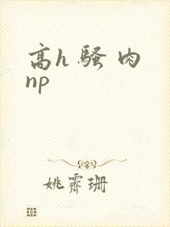 高h 骚 肉 np
