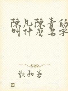 陈凡陈青的小说叫什么名字封面
