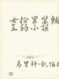 女扮男装辅佐帝王的小说