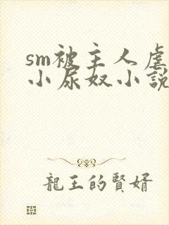 sm被主人虐玩小尿奴小说封面