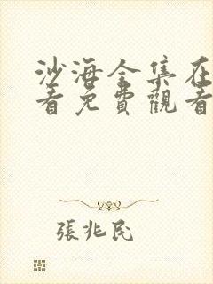 沙海全集在线观看免费观看完整版
