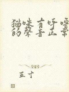 猫咪有呼噜呼噜的声音正常吗