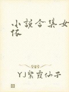 小说合集女友小依封面