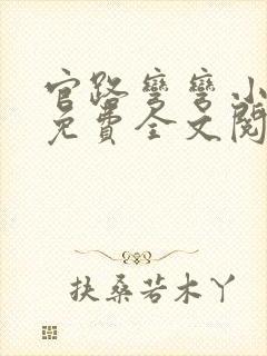 官路弯弯小说+免费全文阅读