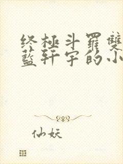 终极斗罗双男主蓝轩宇的小说
