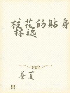 校花的贴身高手 林逸