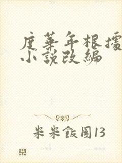 度华年根据哪部小说改编