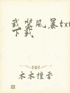 武装风暴txt下载