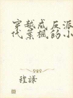 穿越成反派富二代叶枫的小说