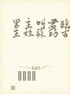 男主叫君临渊女主姓苏的古言小说