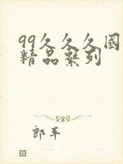 99久久久国产精品系列封面