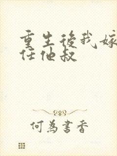 重生后我嫁给前任他叔封面