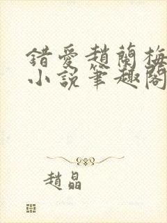 错爱赵兰梅孙明小说笔趣阁封面
