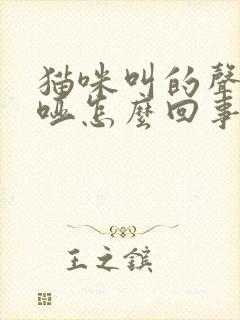 猫咪叫的声音沙哑怎么回事