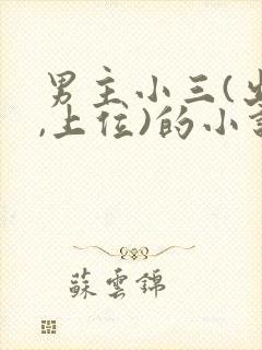 男主小三(出轨,上位)的小说