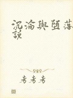 沉沦与堕落的小说封面