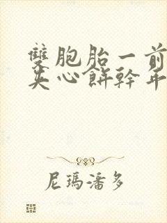 双胞胎一前一后夹心饼干年下