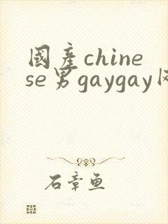 国产chinese男gaygay网站
