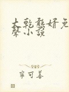 大乾憨婿免费有声小说