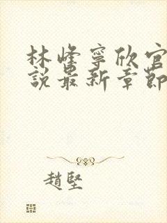 林峰宁欣官场小说最新章节更