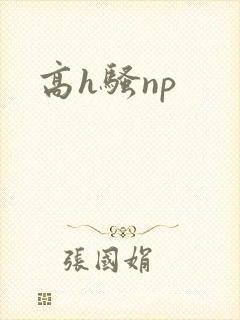 高h骚np封面