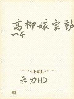 高柳嫁家动漫1~4