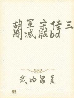 胡军宋佳三级未删减版bd