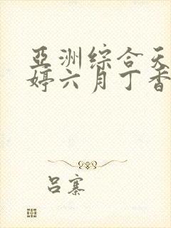 亚洲综合天堂婷婷六月丁香