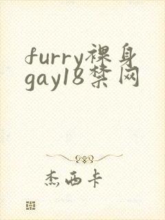 furry裸身gay18禁网