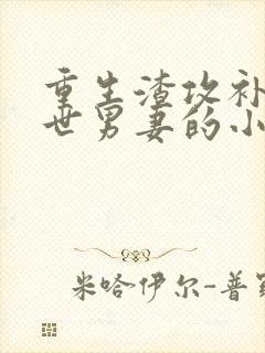 重生渣攻补偿前世男妻的小说